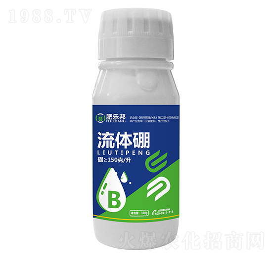 ���w��-�ʘ���-�׶���