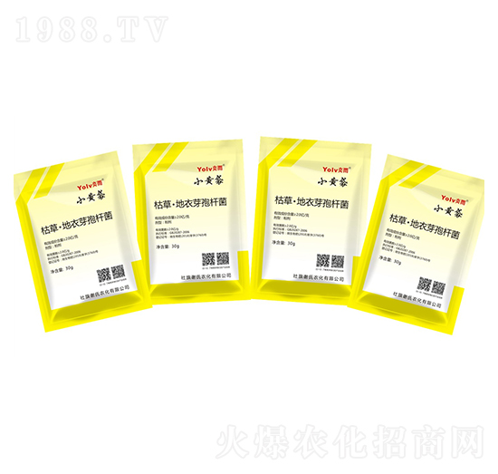 �ݲݡ�����ѿ�ߗU��-С�S��-�x���r(n��ng)��