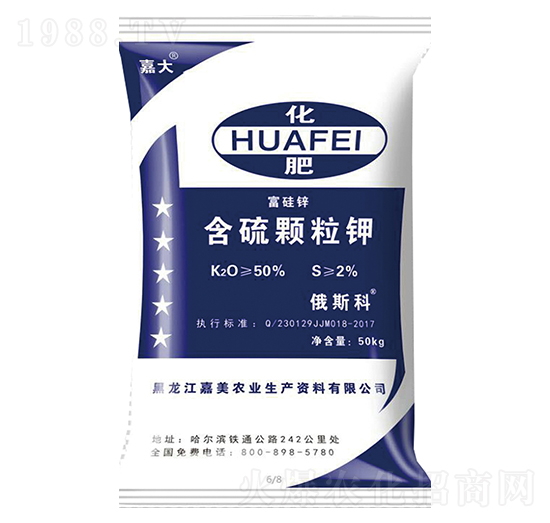 �����w���-�δ�-����