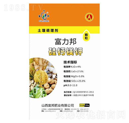 �����{(di��o)�턩-�w�����}�V�-����ʘI(y��)