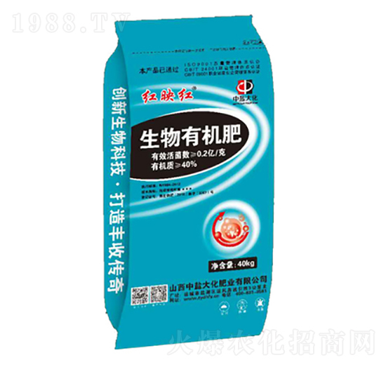 �����ЙC��-�tӳ�t-���}��