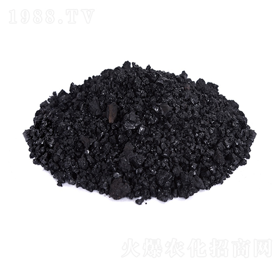 �w����ֲ���-�𺣵|