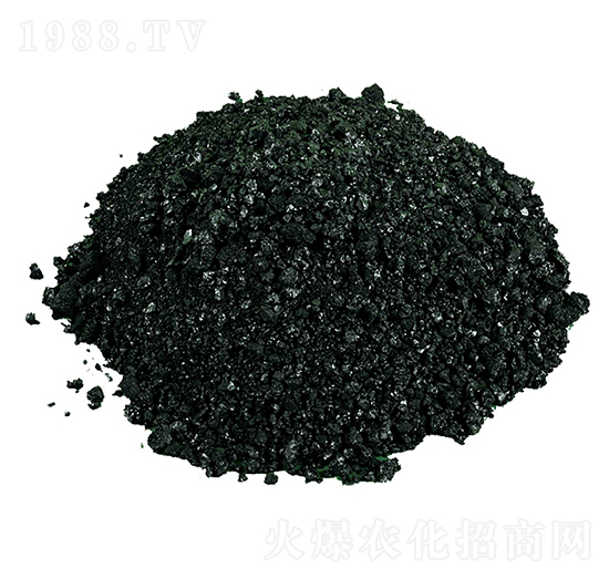 �w����ֲ���c-�𺣵|