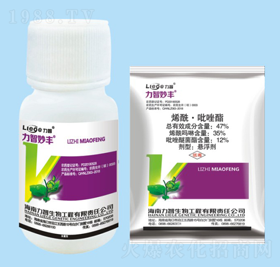 �������S������-��������