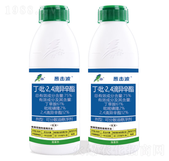 75%��������2��4���ή���֬-�[����-����