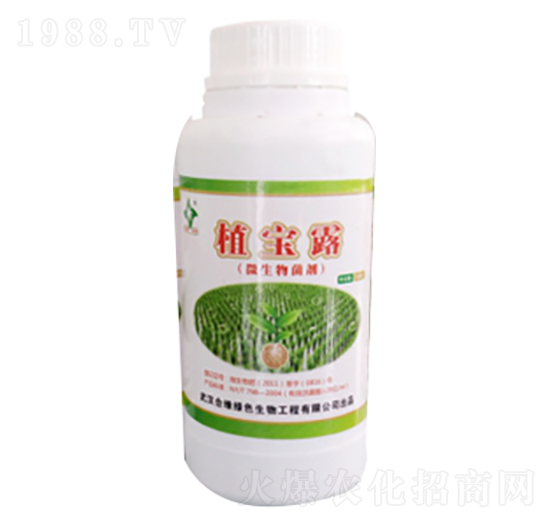 ֲ��¶-�Ͼ���