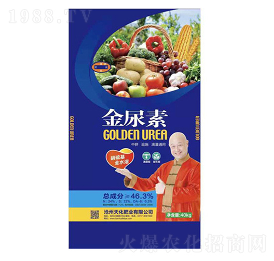 �����������-�컯�ʘI(y��)