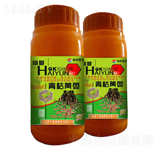 ����Sή�~���-�ޏ�(f��)-��퍷ʘI(y��)