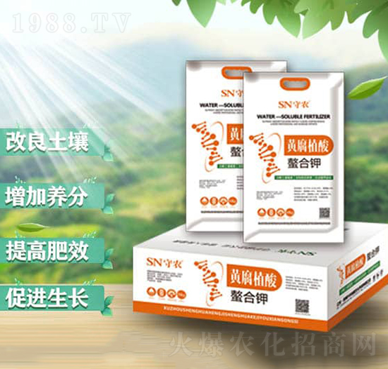 �S��ֲ�������-���r