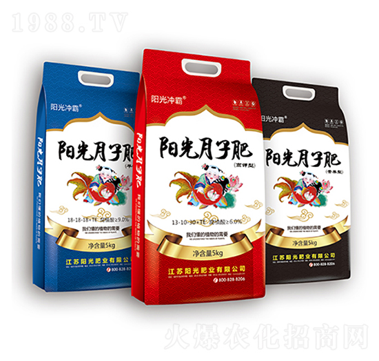 ꖹ����ӷ�-ꖹ�ʘI(y��)