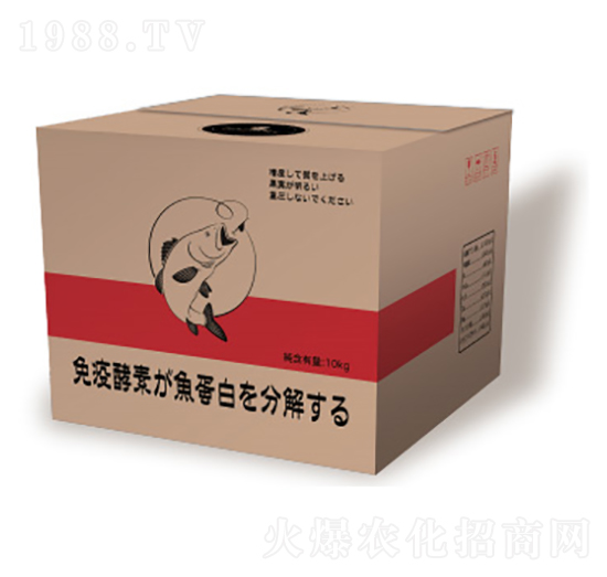 ø���~����-��һ�Z����