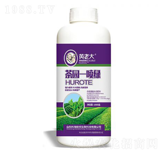 ��@һ���G-�S�ϴ�-�ƺ���