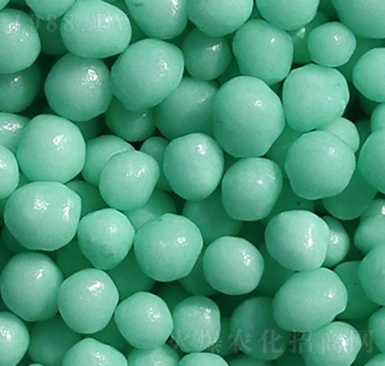 �۰�����Ĥ����-�����S