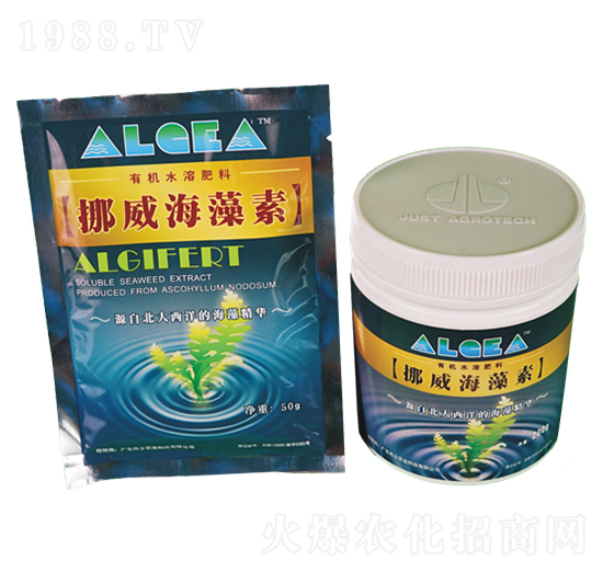 Ų��������-��ʿ�r(n��ng)�I(y��)