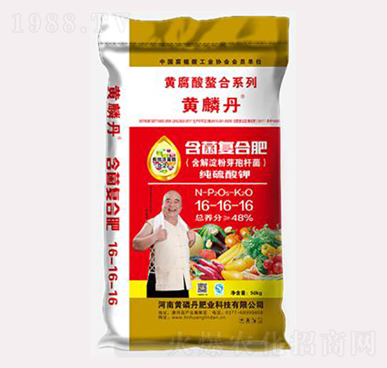 �����ͺϷ���16-16-16-�S�׵�