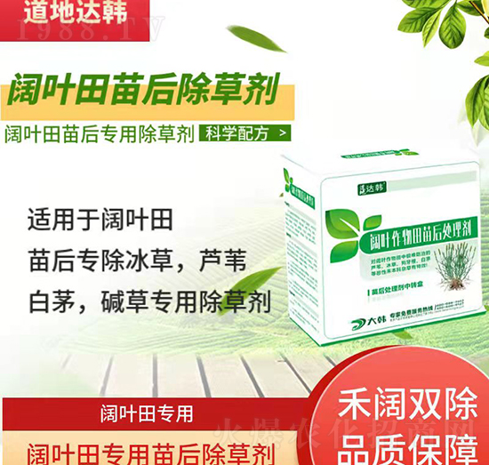 ��~�Ƴ��݄�-��~�����-��~�ƌ���-���n