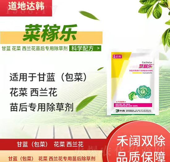 ���{�������{�����݄�-���{�������{�����-���{�������{������-���n