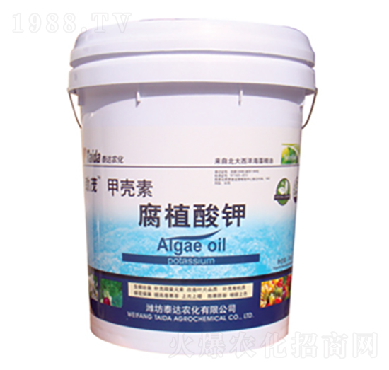 �ך��ظ�ֲ���-̩�_�r(n��ng)��