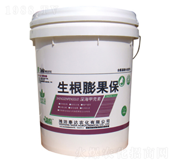 ��ך���-���������-̩�_�r(n��ng)��