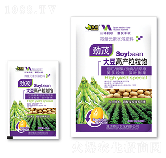 �󶹸߮a�����-̩�_�r��