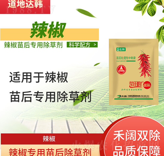 �������݄�-�������-��������-����-���n