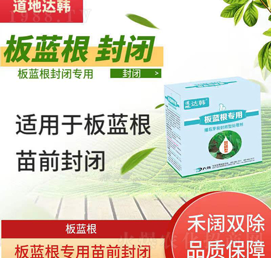 ���{(l��n)�����݄�-���{(l��n)������ѿǰ-���{(l��n)������-���n