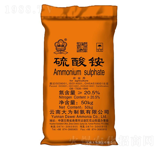 �����@-����ư�