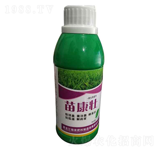 �翵��-����