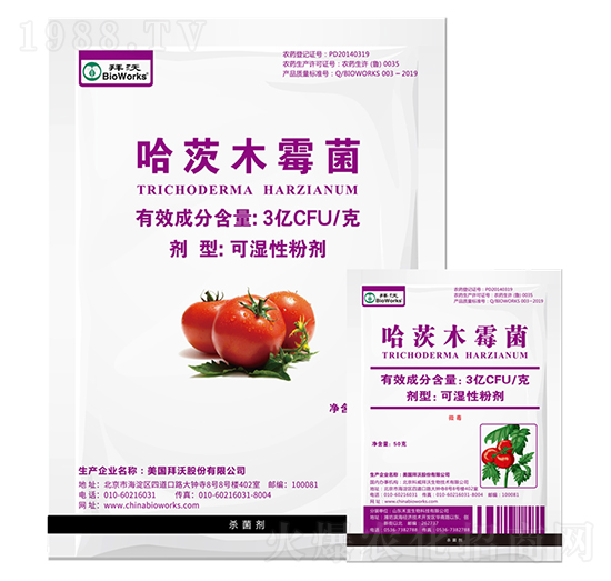 ����ľù���ɝ��Էۄ��~����-����