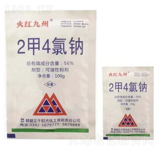 56%2��4���c�ۄ�-��t����-����ꖹ�