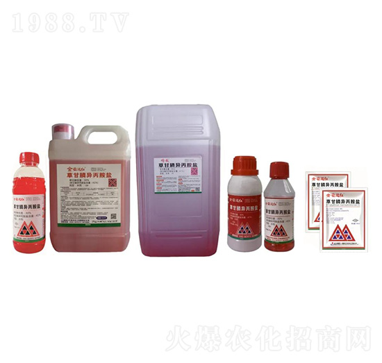 41%�ݸ�좮����@�}-�����_�t-����ꖹ�