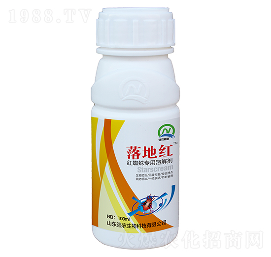 �t֩�댣���ܽ℩-��ؼt-���r