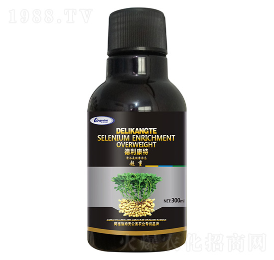 �������þ۹Ȱ������ϑB(t��i)�����أ�-��������-������ķ