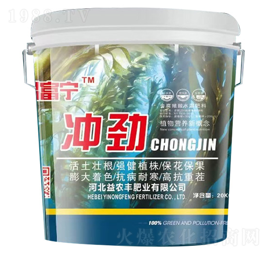 �_��-�׸���-���r�S�ʘI(y��)