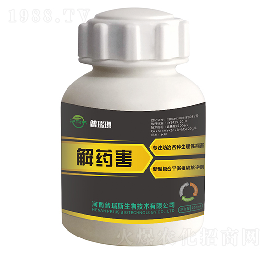 ��ˎ��-������