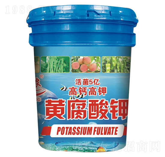 �S�����Һ�w-ӳ���r(n��ng)-���_����