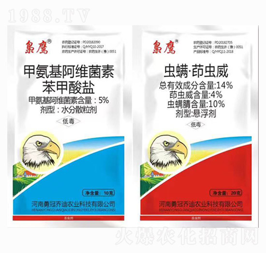 �װ������S���ر������}+�x�������x��-�n��-�����_