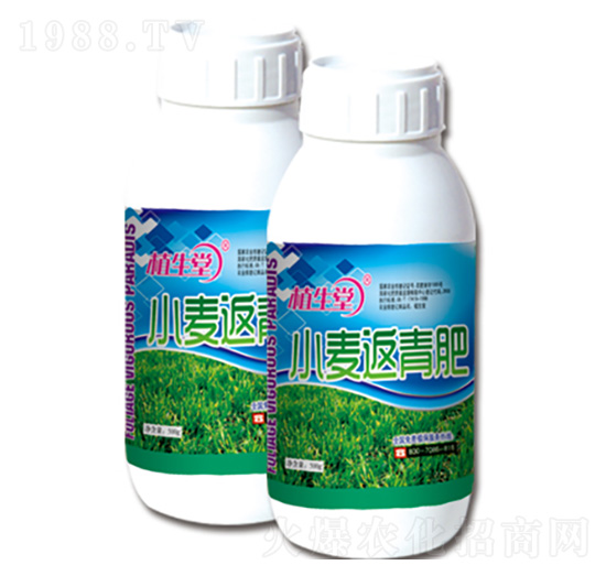 С������� ֲ���� �R������