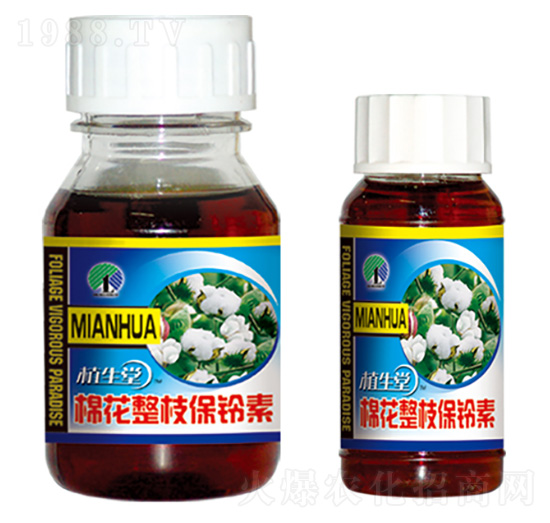 �޻���֧���`�� ֲ���� �R������