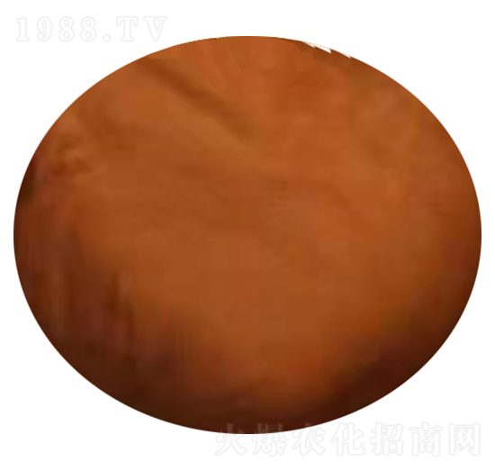 �����S�����-��ɽ����