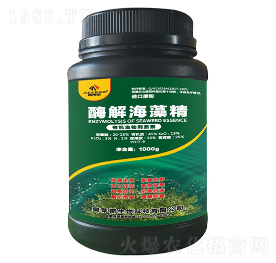 ø�⺣�徫-�W�R˹