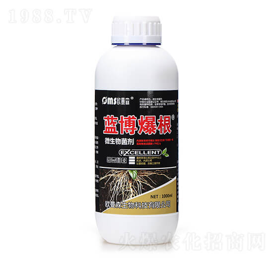 ΢�������-�{������-�W��ɭ