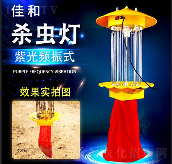 ���x�� �Ѻ�