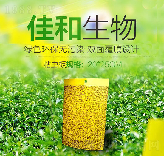 ճ�x(ch��ng)�� �Ѻ�