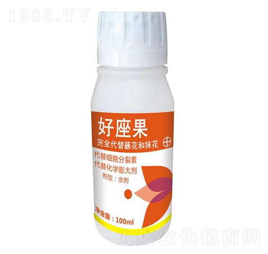 ������ ʢ����