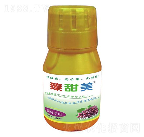 ���ь��� ������ ʢ����