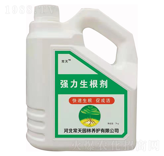 ���������� ����