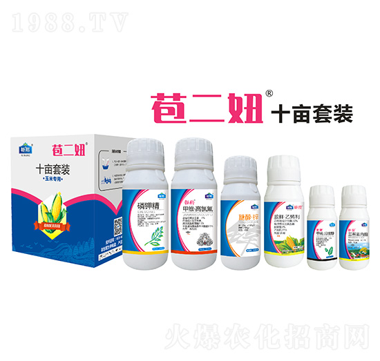 ���׌�(zhu��n)��ʮ�����b ����� ⠰��r(n��ng)�I(y��)