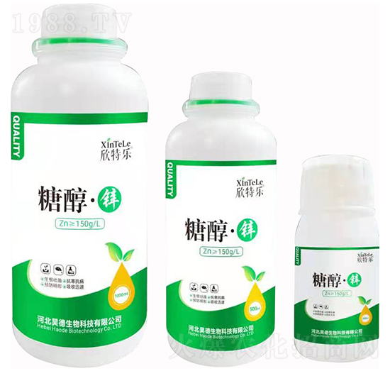 �Ǵ����\ ���ؘ� 껵»���