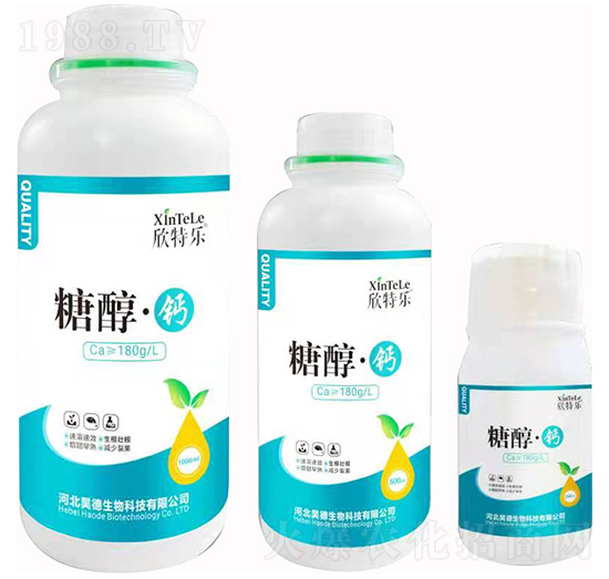 �Ǵ����} ���ؘ� 껵»���